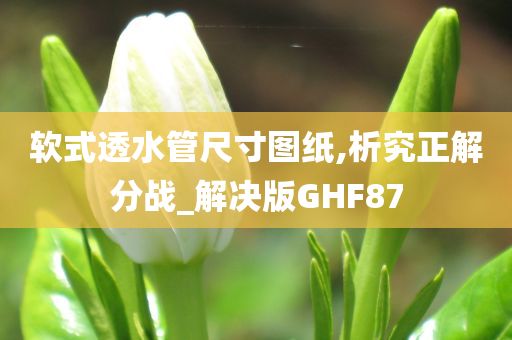软式透水管尺寸图纸,析究正解分战_解决版GHF87