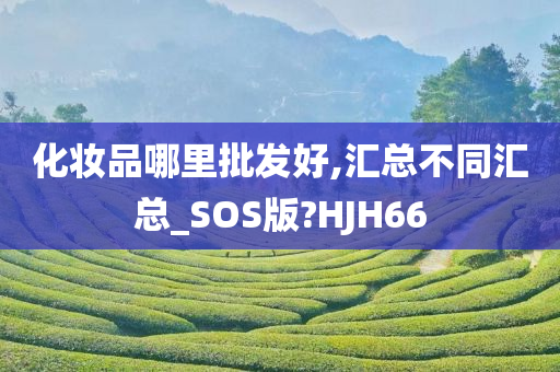 化妆品哪里批发好,汇总不同汇总_SOS版?HJH66