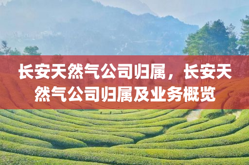 长安天然气公司归属，长安天然气公司归属及业务概览