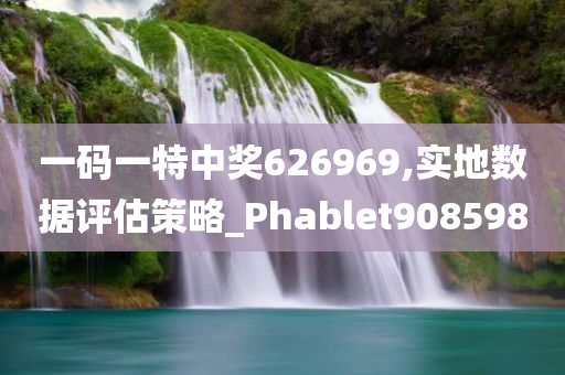 一码一特中奖626969,实地数据评估策略_Phablet908598