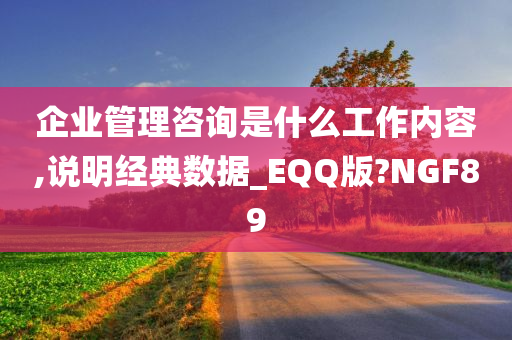 企业管理咨询是什么工作内容,说明经典数据_EQQ版?NGF89