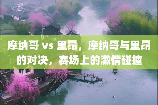 摩纳哥 vs 里昂，摩纳哥与里昂的对决，赛场上的激情碰撞