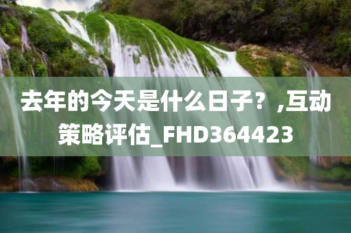 去年的今天是什么日子？,互动策略评估_FHD364423