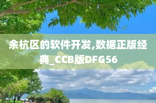 余杭区的软件开发,数据正版经典_CCB版DFG56