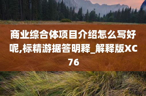 商业综合体项目介绍怎么写好呢,标精游据答明释_解释版XC76