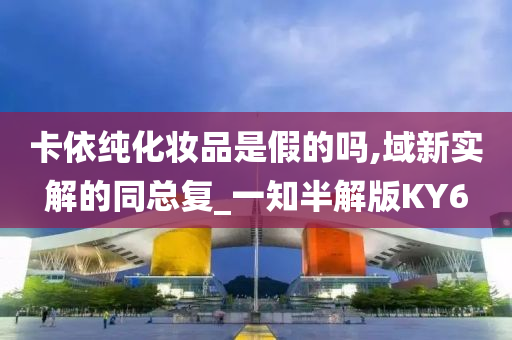 卡依纯化妆品是假的吗,域新实解的同总复_一知半解版KY6