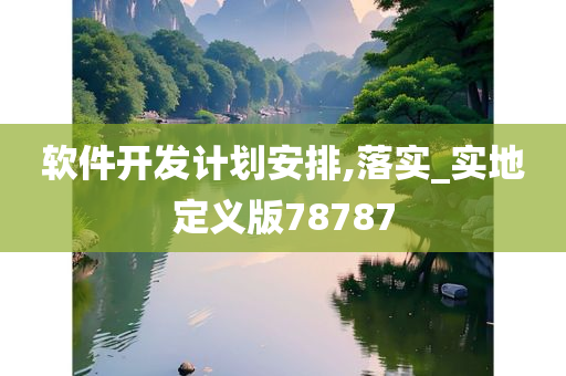 软件开发计划安排,落实_实地定义版78787