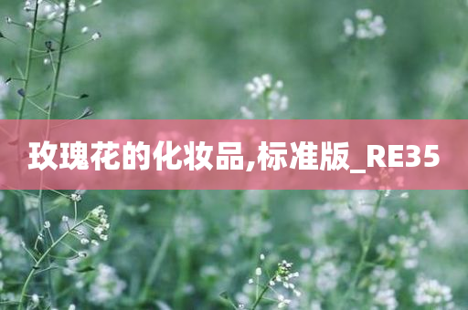 玫瑰花的化妆品,标准版_RE35