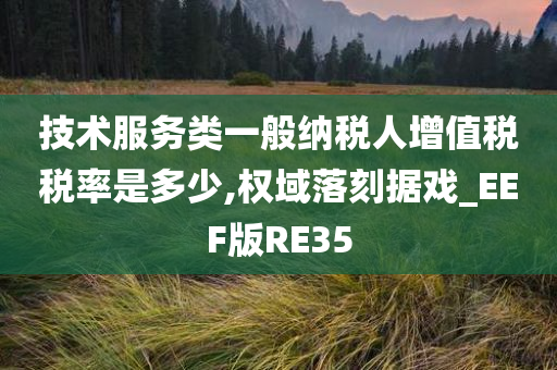 技术服务类一般纳税人增值税税率是多少,权域落刻据戏_EEF版RE35