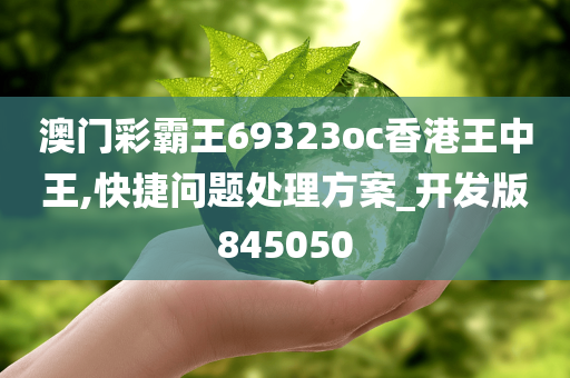澳门彩霸王69323oc香港王中王,快捷问题处理方案_开发版845050