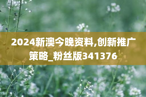 2024新澳今晚资料,创新推广策略_粉丝版341376