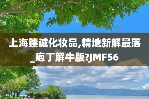 上海臻诚化妆品,精地新解最落_庖丁解牛版?JMF56