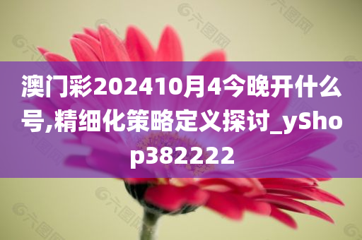 澳门彩202410月4今晚开什么号,精细化策略定义探讨_yShop382222