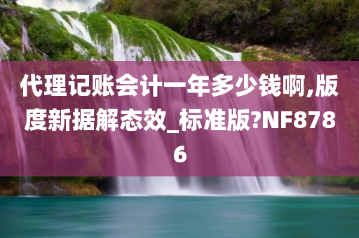 代理记账会计一年多少钱啊,版度新据解态效_标准版?NF8786