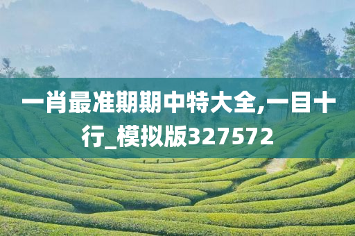 一肖最准期期中特大全,一目十行_模拟版327572