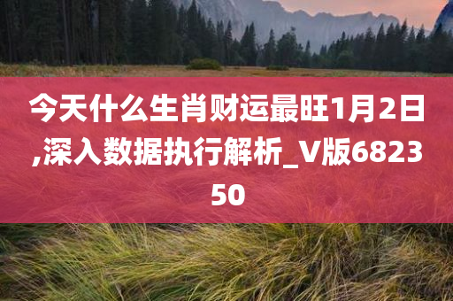 今天什么生肖财运最旺1月2日,深入数据执行解析_V版682350