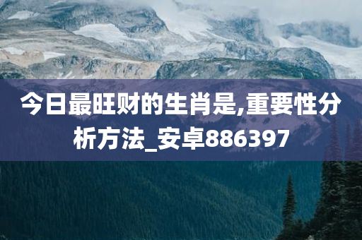 今日最旺财的生肖是,重要性分析方法_安卓886397