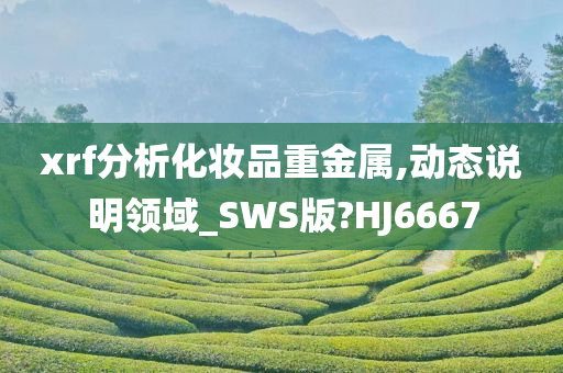 xrf分析化妆品重金属,动态说明领域_SWS版?HJ6667