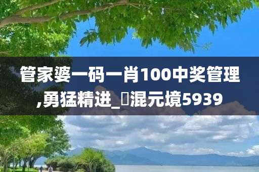 管家婆一码一肖100中奖管理,勇猛精进_?混元境5939