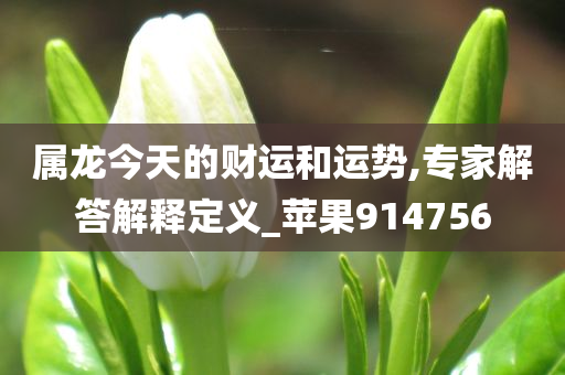 属龙今天的财运和运势,专家解答解释定义_苹果914756