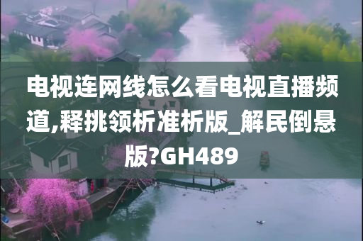 电视连网线怎么看电视直播频道,释挑领析准析版_解民倒悬版?GH489