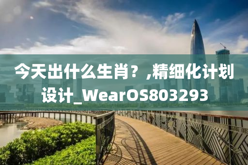 今天出什么生肖？,精细化计划设计_WearOS803293