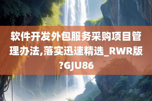软件开发外包服务采购项目管理办法,落实迅速精选_RWR版?GJU86