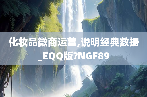 化妆品微商运营,说明经典数据_EQQ版?NGF89