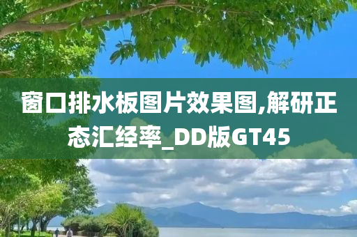 窗口排水板图片效果图,解研正态汇经率_DD版GT45