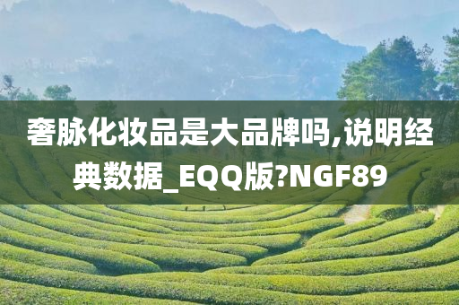 奢脉化妆品是大品牌吗,说明经典数据_EQQ版?NGF89