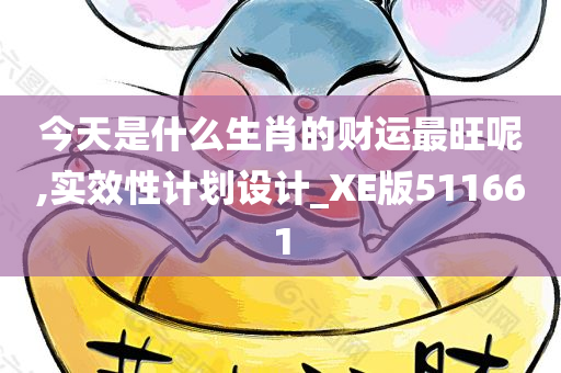 今天是什么生肖的财运最旺呢,实效性计划设计_XE版511661
