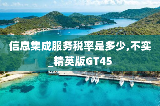 信息集成服务税率是多少,不实_精英版GT45