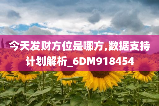 今天发财方位是哪方,数据支持计划解析_6DM918454
