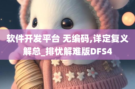 软件开发平台 无编码,详定复义解总_排忧解难版DFS4