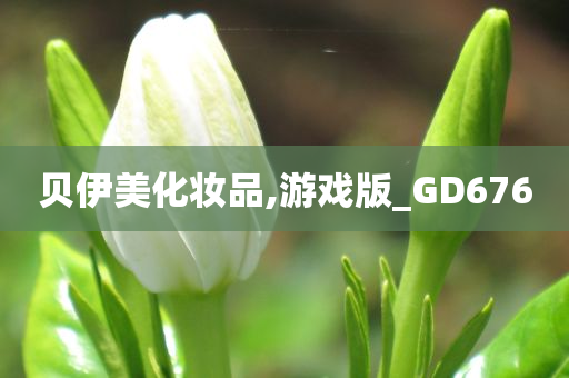 贝伊美今晚必出三肖2025_2025新澳门精准免费提供·精确判断化妆品,游戏版_GD676