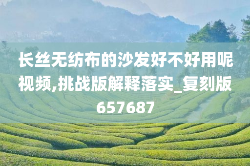 长丝无纺布的沙发好不好用呢视频,挑战版解释落实_复刻版657687