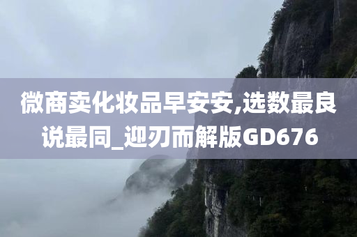 微商 第7页