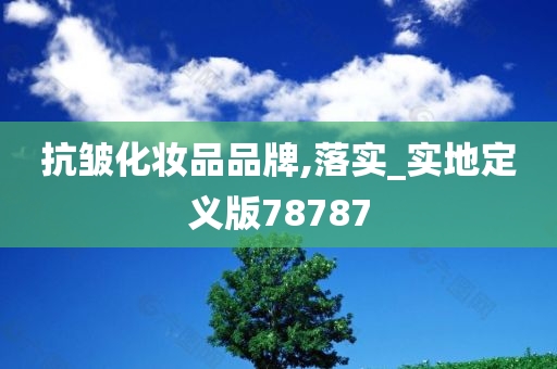 抗皱化妆品品牌,落实_实地定义版78787