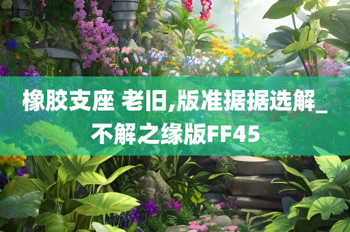 橡胶支座 老旧,版准据据选解_不解之缘版FF45