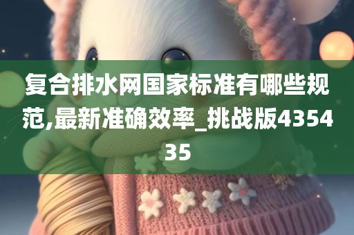 复合排水网国家标准有哪些规范,最新准确效率_挑战版435435