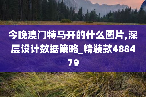 今晚澳门特马开的什么图片,深层设计数据策略_精装款488479