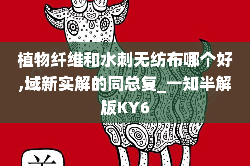 植物纤维和水刺无纺布哪个好,域新实解的同总复_一知半解版KY6
