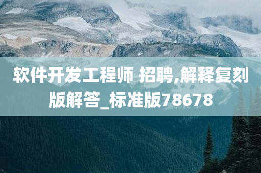 软件开发工程师 招聘,解释复刻版解答_标准版78678