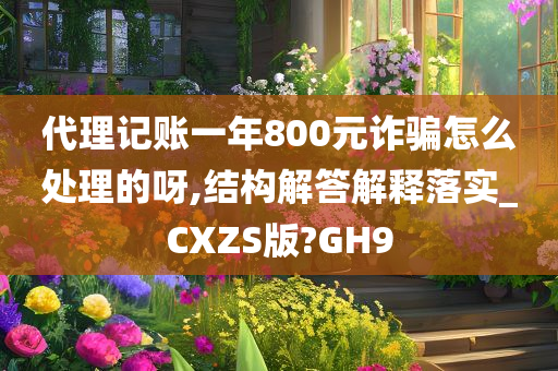 代理记账一年800元诈骗怎么处理的呀,结构解答解释落实_CXZS版?GH9