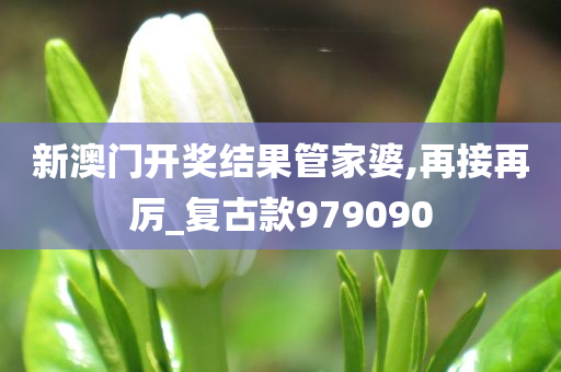 新澳门开奖结果管家婆,再接再厉_复古款979090