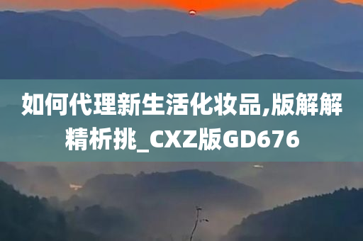 如何代理新生活化妆品,版解解精析挑_CXZ版GD676