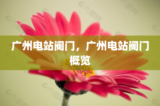 广州电站阀门，广州电站阀门概览
