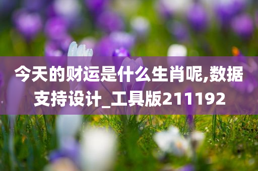 今天的财运是什么生肖呢,数据支持设计_工具版211192