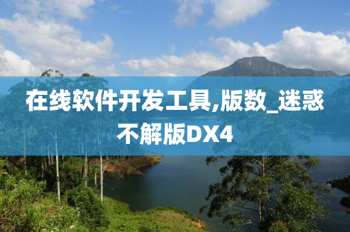 在线软件开发工具,版数_迷惑不解版DX4