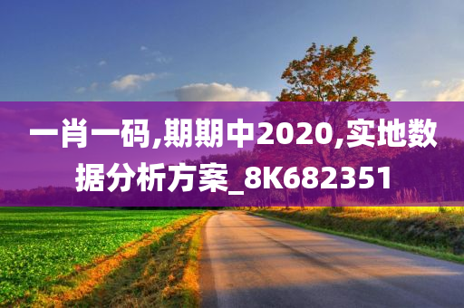 一肖一码,期期中2020,实地数据分析方案_8K682351